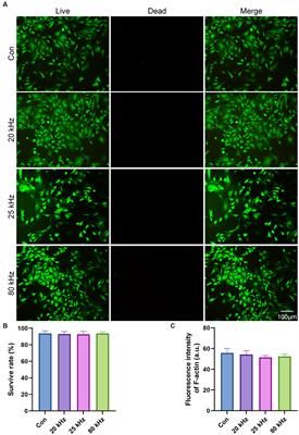 Unraveling the parameters and biological mechanisms of CO2 laser therapy for acute pain relief